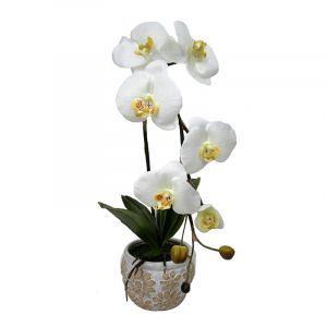 New Wish Studio Floral - Орхидея бяла в саксия - 45см.