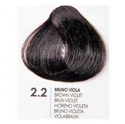 Fanola - Prestige Colour - Боя за коса обогатена с Гинко Билоба - Ash [.1 Series] ; Intense Ash [.11 Series]; Violet [.2 Series] ;  Intense Violet [.22 Series], Violet Fantasy [.2F Series]