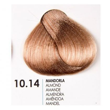 Fanola - Prestige Colour - Боя за коса обогатена с Гинко Билоба - Beige [.13 Series], Brown [.14 Series],  Chocolate [.29 Series]