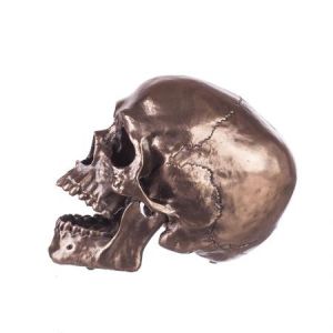Veronese 1 - Статуетка череп
